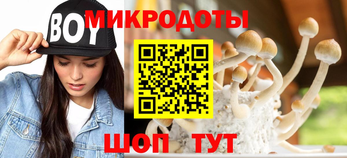 Псилоцибиновые грибы мухоморы Сегежа