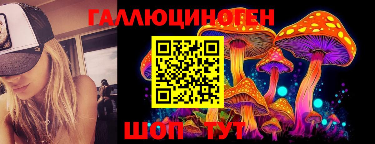Сегежа  Галлюциногенные грибы мухоморы  дарнет шоп  Вход с VPN 